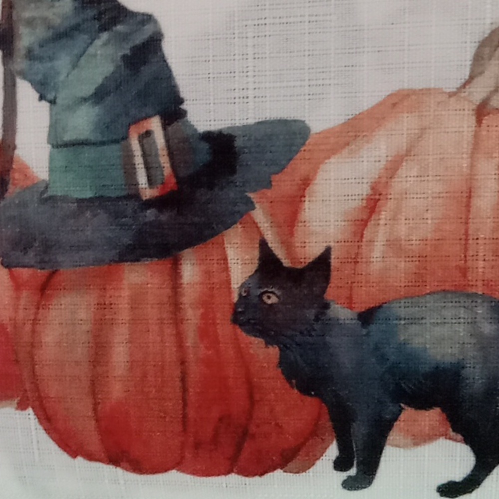 Halloween Shower Curtain with Pumpkins and Cat πππββ¬πββ¬πββ¬ - Picture 4 of 5